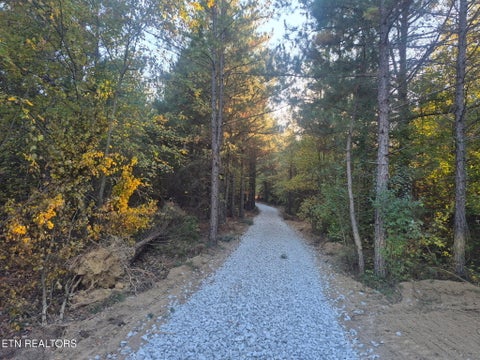 Tiny photo for 0 Freedom Ridge Lane, Crossville, TN 38572 (MLS # 1359900)