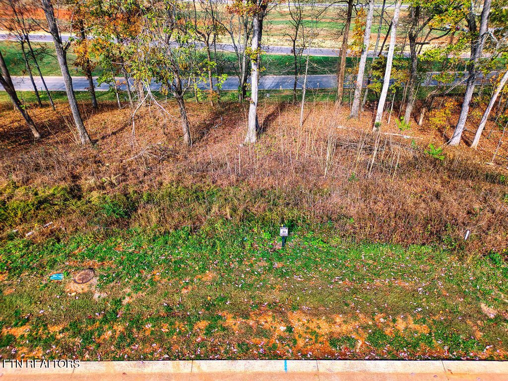 Photo of 1673 Black Cove Lane Ln, Loudon, TN 37774 (MLS # 1282848)