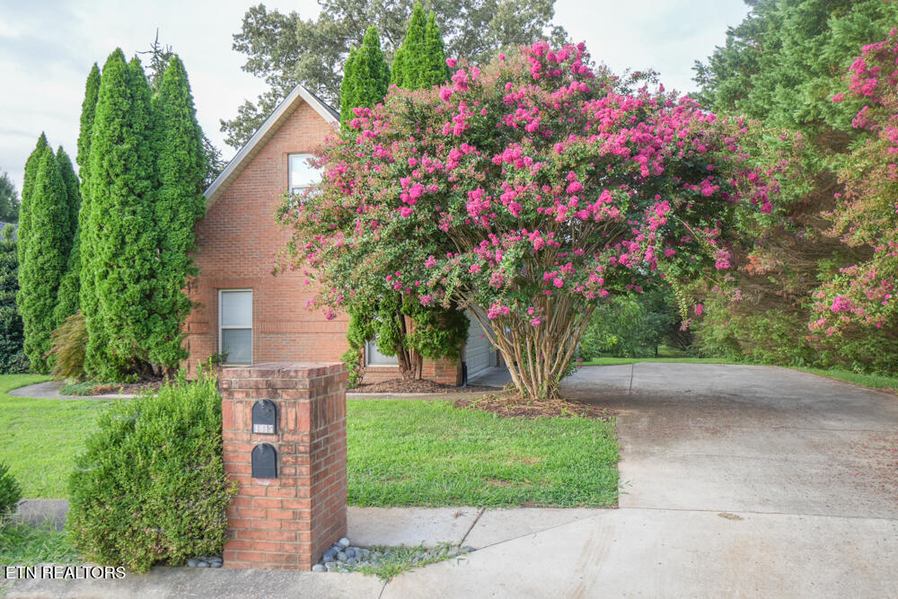 1015 Foxdale Drive