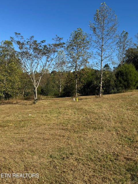 Tiny photo for 1 Poplar Drive, Niota, TN 37826 (MLS # 1360141)