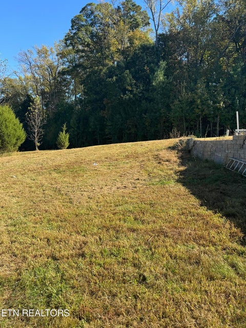 Tiny photo for 1 Poplar Drive, Niota, TN 37826 (MLS # 1360141)