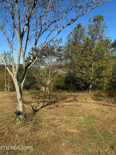 Tiny photo for 1 Poplar Drive, Niota, TN 37826 (MLS # 1360141)