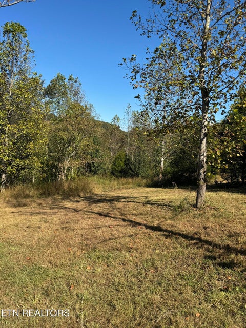 Tiny photo for 1 Poplar Drive, Niota, TN 37826 (MLS # 1360141)