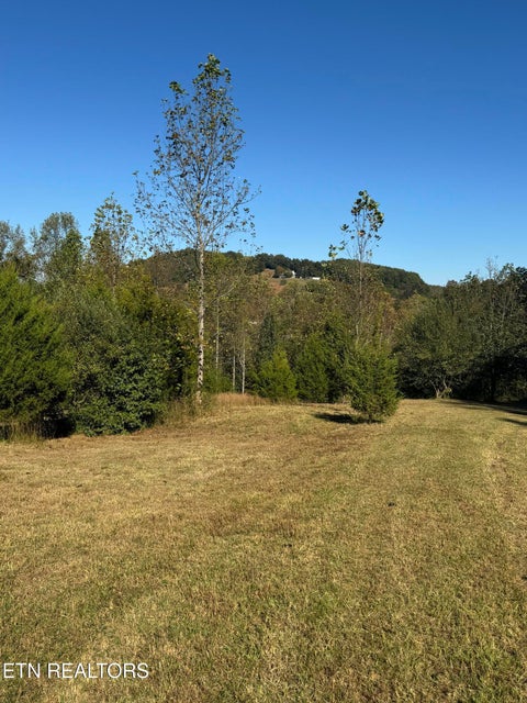 Tiny photo for 1 Poplar Drive, Niota, TN 37826 (MLS # 1360141)