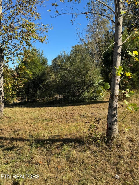 Tiny photo for 1 Poplar Drive, Niota, TN 37826 (MLS # 1360141)
