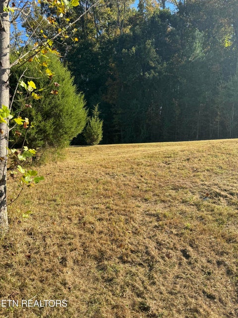 Tiny photo for 1 Poplar Drive, Niota, TN 37826 (MLS # 1360141)