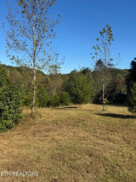 Tiny photo for 1 Poplar Drive, Niota, TN 37826 (MLS # 1360141)