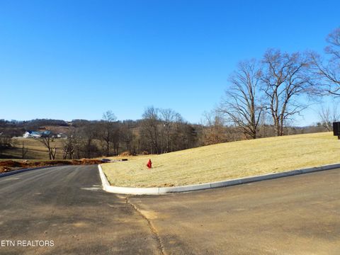 Tiny photo for 13 Shorewood Point, Morristown, TN 37814 (MLS # 1344811)
