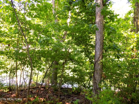 Tiny photo for 13 Shorewood Point, Morristown, TN 37814 (MLS # 1344811)