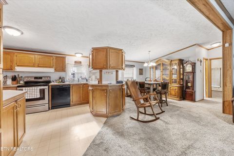 Tiny photo for 1476 Martha Dandridge Circle, Dandridge, TN 37725 (MLS # 1317279)