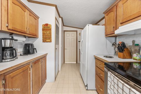Tiny photo for 1476 Martha Dandridge Circle, Dandridge, TN 37725 (MLS # 1317279)