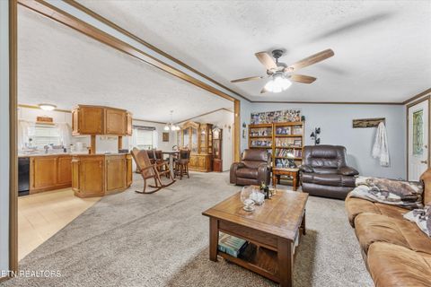 Tiny photo for 1476 Martha Dandridge Circle, Dandridge, TN 37725 (MLS # 1317279)