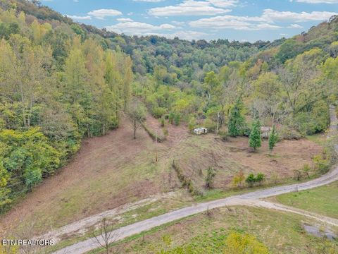 53.19AC Watts Hollow Rd Buffalo Valley TN 38548