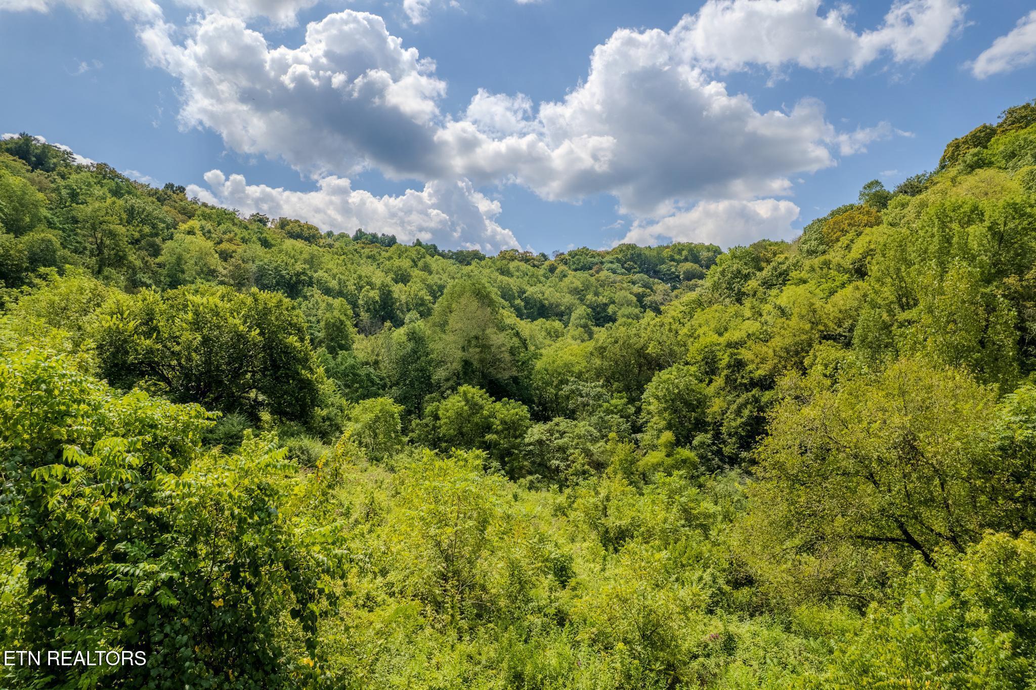 53.19AC Watts Hollow Rd