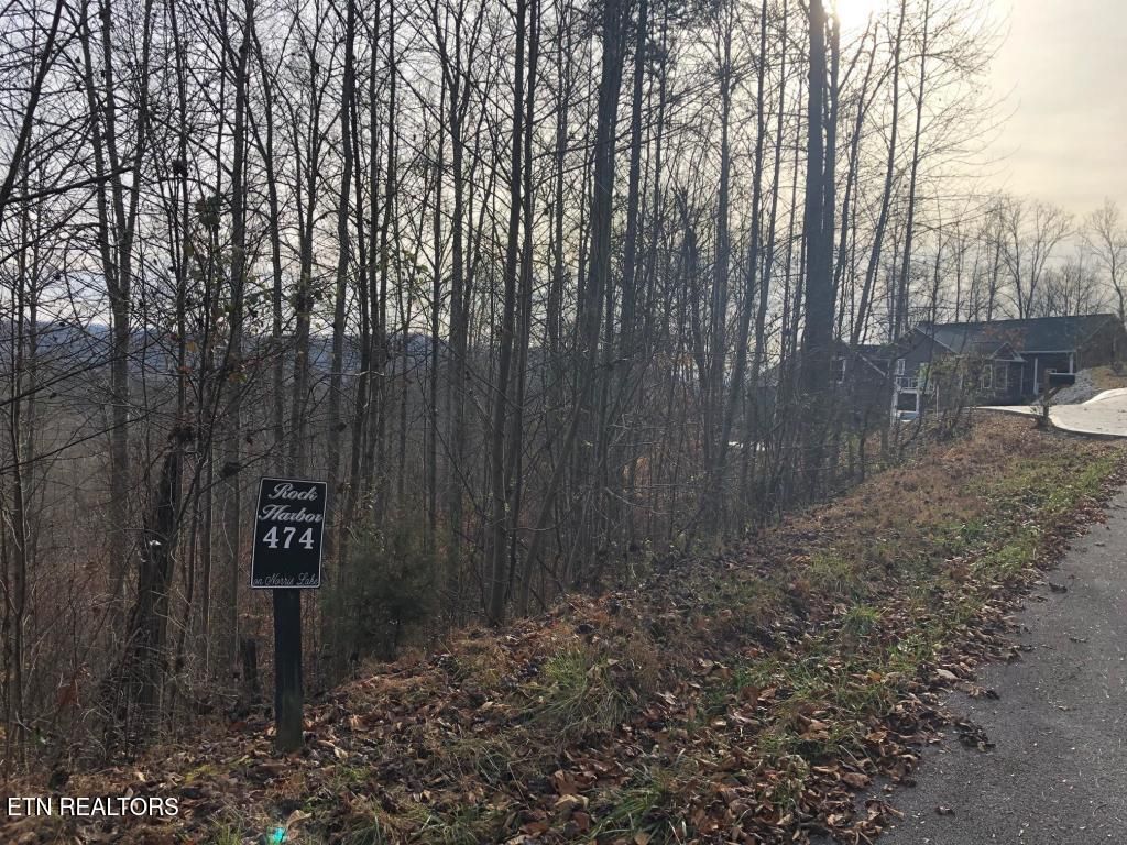 Photo of Silver Tr #Lot 474, New Tazewell, TN 37825 (MLS # 1286611)