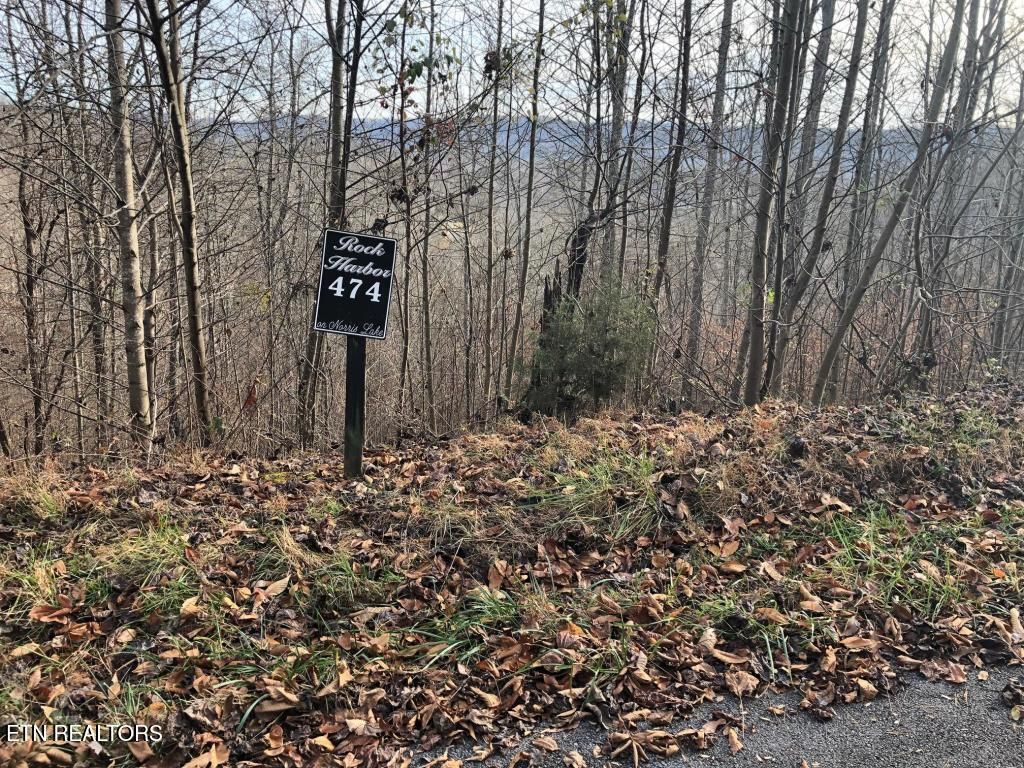 Photo of Silver Tr #Lot 474, New Tazewell, TN 37825 (MLS # 1286611)
