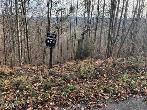 Tiny photo for Silver Tr #Lot 474, New Tazewell, TN 37825 (MLS # 1286611)