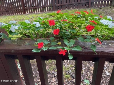 Tiny photo for 2572 Highland Park Drive, Pigeon Forge, TN 37863 (MLS # 1360295)