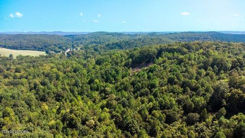 Tiny photo for 7 Pleasant Hill Rd, Ten Mile, TN 37880 (MLS # 1334683)