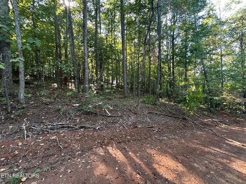 Tiny photo for 7 Pleasant Hill Rd, Ten Mile, TN 37880 (MLS # 1334683)