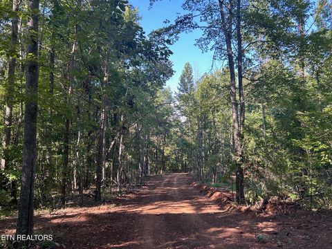 Tiny photo for 7 Pleasant Hill Rd, Ten Mile, TN 37880 (MLS # 1334683)