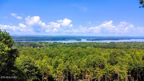 Tiny photo for 7 Pleasant Hill Rd, Ten Mile, TN 37880 (MLS # 1334683)