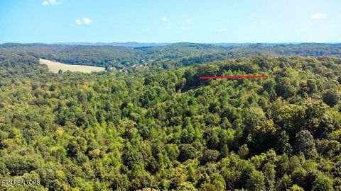 Tiny photo for 7 Pleasant Hill Rd, Ten Mile, TN 37880 (MLS # 1334683)