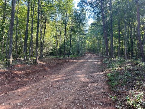 Tiny photo for 7 Pleasant Hill Rd, Ten Mile, TN 37880 (MLS # 1334683)