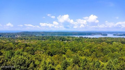 Tiny photo for 7 Pleasant Hill Rd, Ten Mile, TN 37880 (MLS # 1334683)