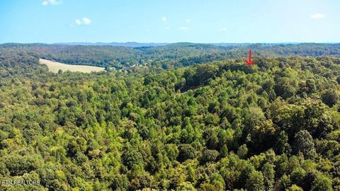 Tiny photo for 7 Pleasant Hill Rd, Ten Mile, TN 37880 (MLS # 1334683)