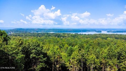 Tiny photo for 7 Pleasant Hill Rd, Ten Mile, TN 37880 (MLS # 1334683)