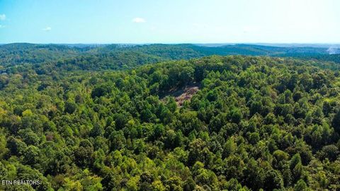 Tiny photo for 7 Pleasant Hill Rd, Ten Mile, TN 37880 (MLS # 1334683)