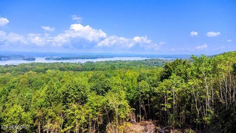 Tiny photo for 7 Pleasant Hill Rd, Ten Mile, TN 37880 (MLS # 1334683)