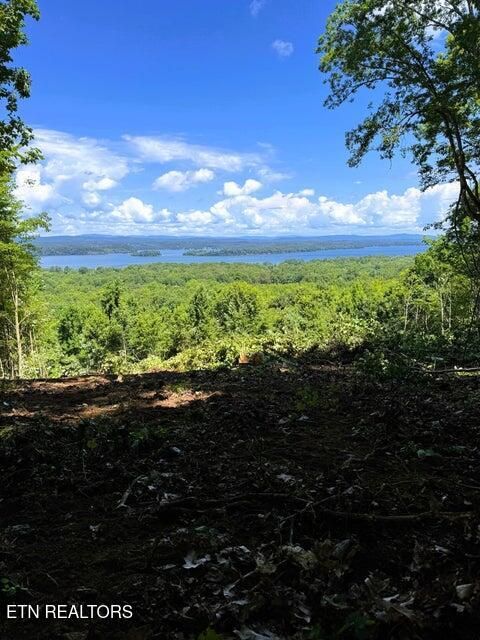 Tiny photo for 7 Pleasant Hill Rd, Ten Mile, TN 37880 (MLS # 1334683)