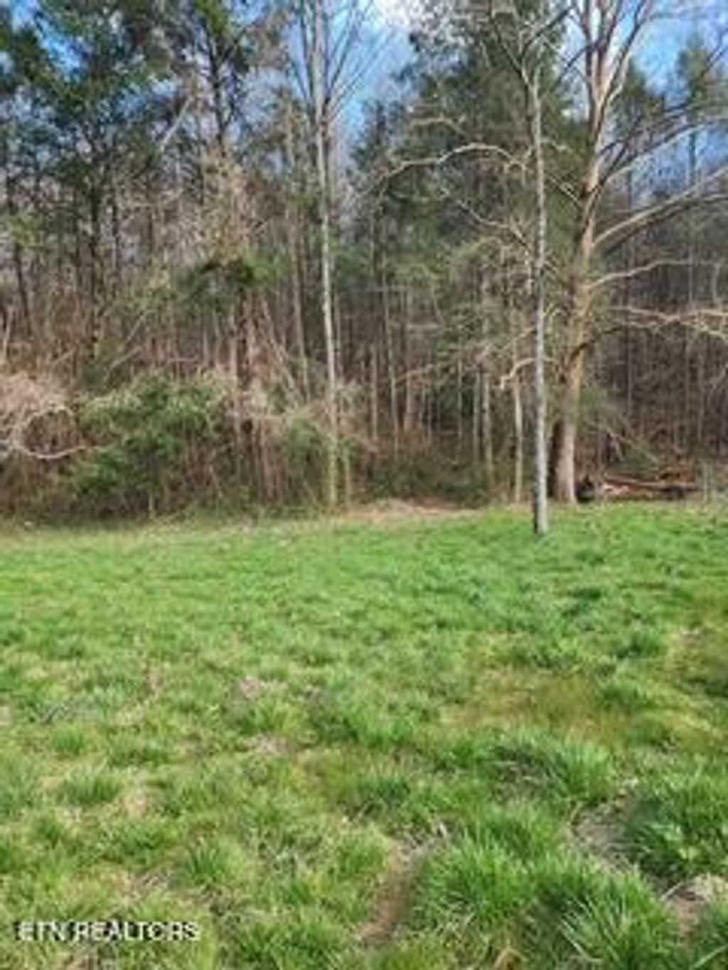 Photo of Little Elk Creek Rd, Pioneer, TN 37847 (MLS # 1325041)
