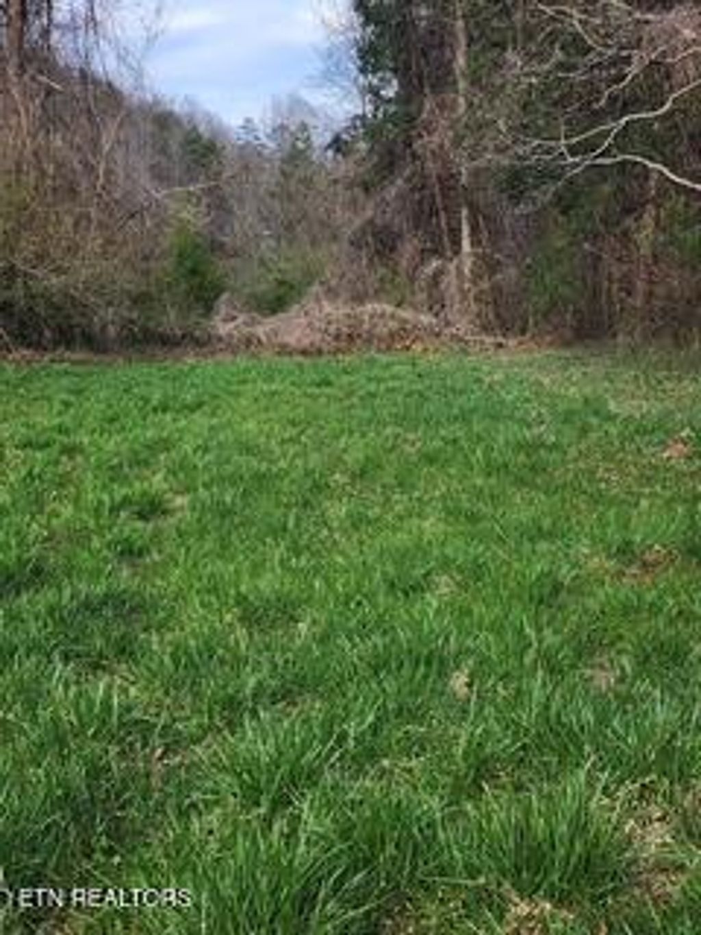 Photo of Little Elk Creek Rd, Pioneer, TN 37847 (MLS # 1325041)