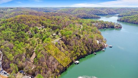 Lot 44 Hiwassee Drive Jacksboro TN 37757