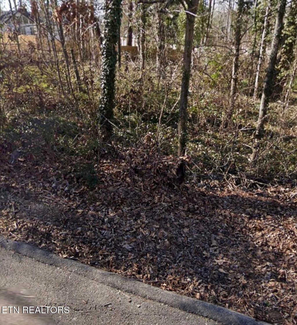 Photo of 301 Wilona Lane, Knoxville, TN 37922 (MLS # 1358974)