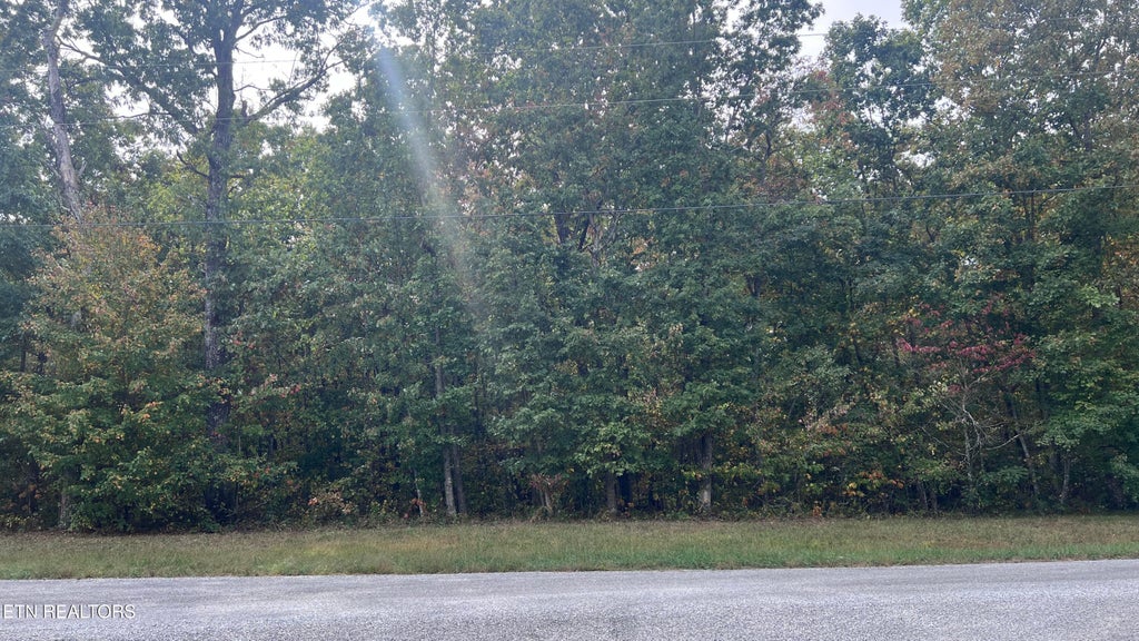 Photo of Divide Tr, Monterey, TN 38574 (MLS # 1358487)