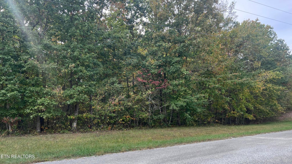 Photo of Divide Tr, Monterey, TN 38574 (MLS # 1358487)