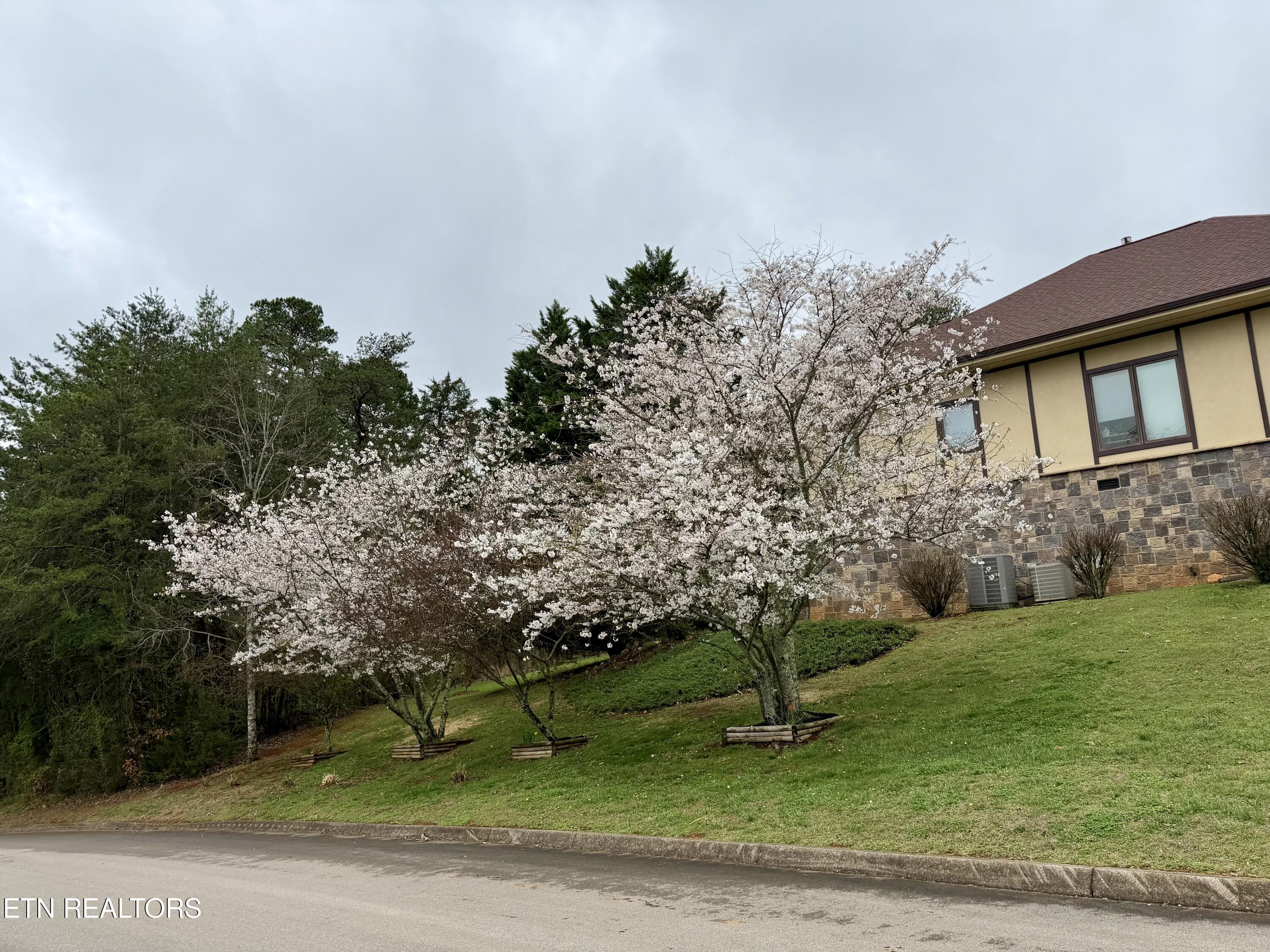 135 Bluffton Rd