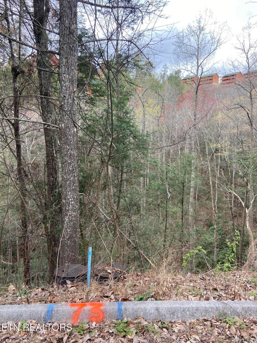 Photo of Lot 73 Smoky Ridge Way, Sevierville, TN 37862 (MLS # 1279846)