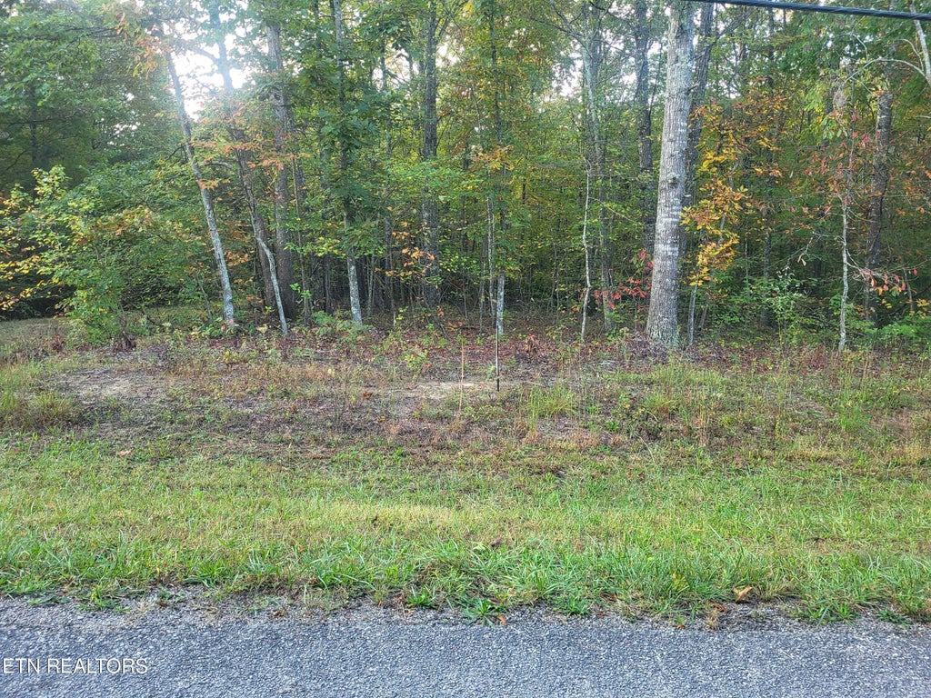Photo of 219 Malvern Rd, Crossville, TN 38558 (MLS # 1358864)