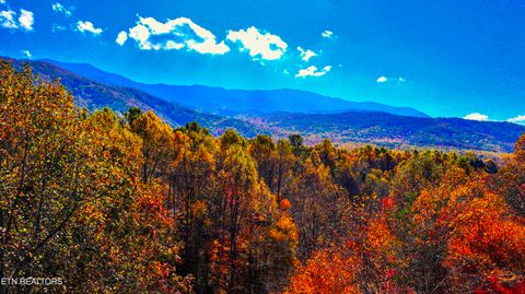 Tiny photo for Angie Lane Lane, Gatlinburg, TN 37738 (MLS # 1316188)