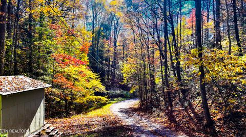 Tiny photo for Angie Lane Lane, Gatlinburg, TN 37738 (MLS # 1316188)