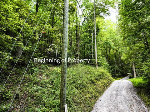 Tiny photo for Angie Lane Lane, Gatlinburg, TN 37738 (MLS # 1316188)
