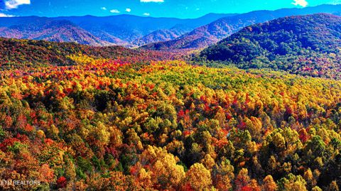 Tiny photo for Angie Lane Lane, Gatlinburg, TN 37738 (MLS # 1316188)