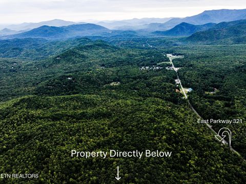 Tiny photo for Angie Lane Lane, Gatlinburg, TN 37738 (MLS # 1316188)