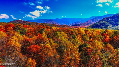 Tiny photo for Angie Lane Lane, Gatlinburg, TN 37738 (MLS # 1316188)