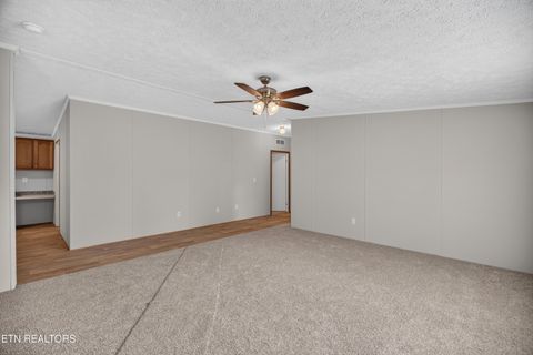 Tiny photo for 137 Morrison Subdivision Rd, Oakdale, TN 37829 (MLS # 1346351)